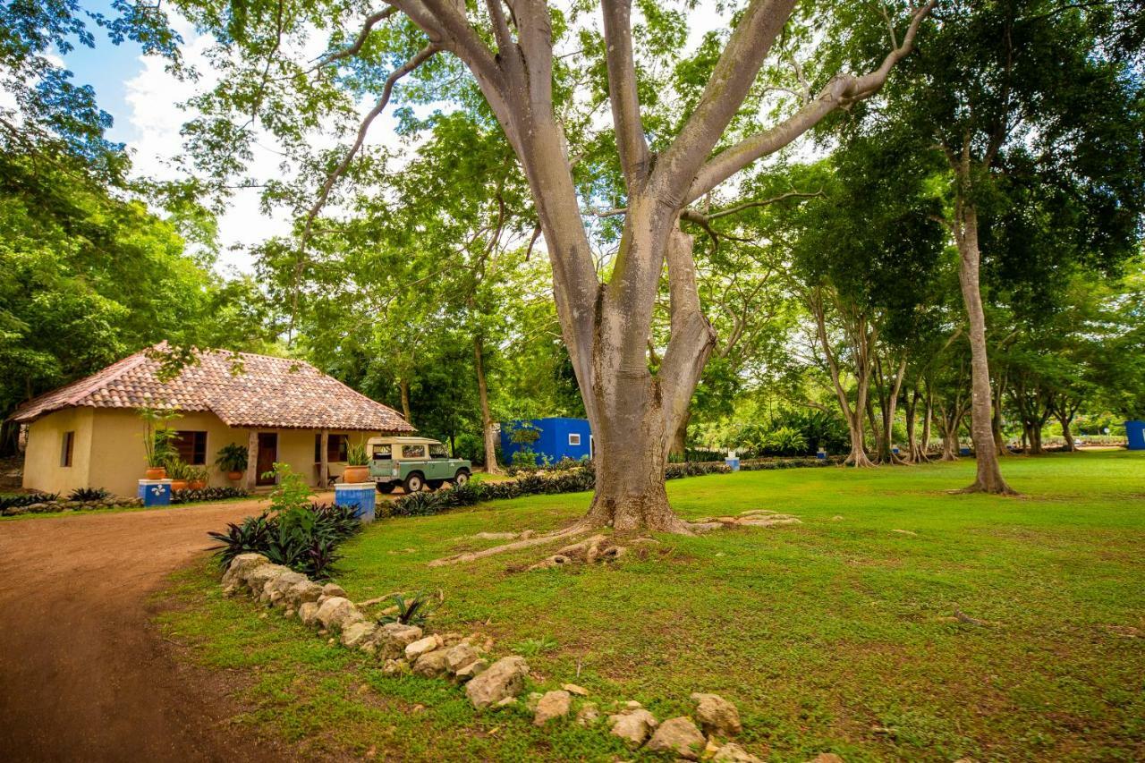 Bed and Breakfast La Casa Del Mago Uxmal Exteriér fotografie
